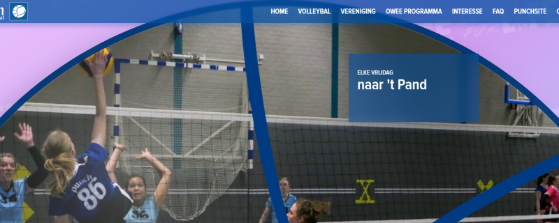 OWee Website is online!